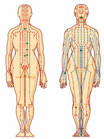 Karta över meridianer Karolina Eleonora – Emotion Code healer i Sverige som hjälper klienter släppa emotionellt bagage naturligt