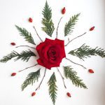 Läs mer om artikeln Moders / Faders Såret Healingbehandling